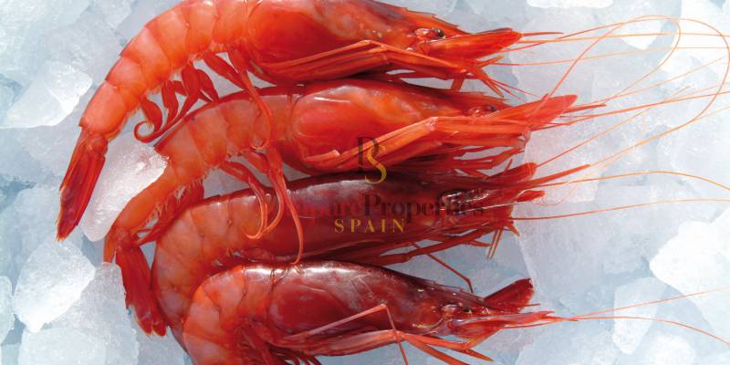 The best Spanish cuisine celebrates its stay in Javea