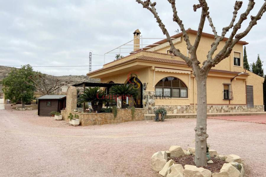 Sale - Villa - Vinalopo - Hondon De Las Nieves